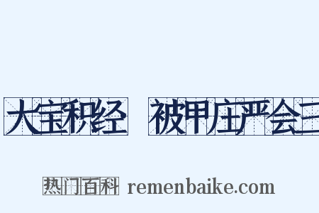 大宝积经·被甲庄严会三是什么意思的图片